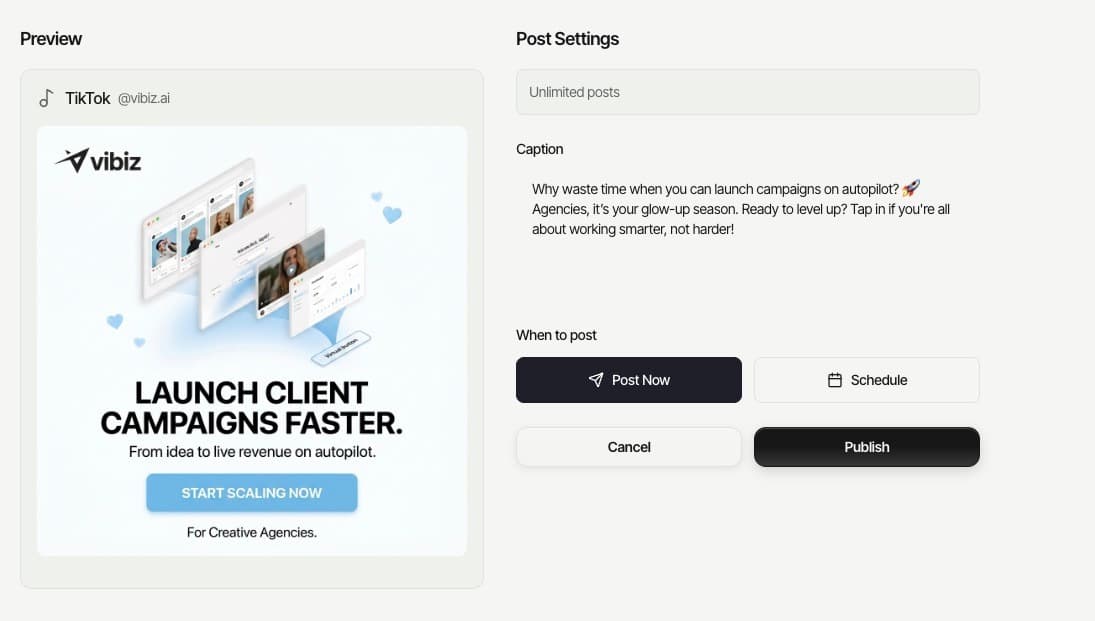 Vibiz's interface for social media posting and scheduling